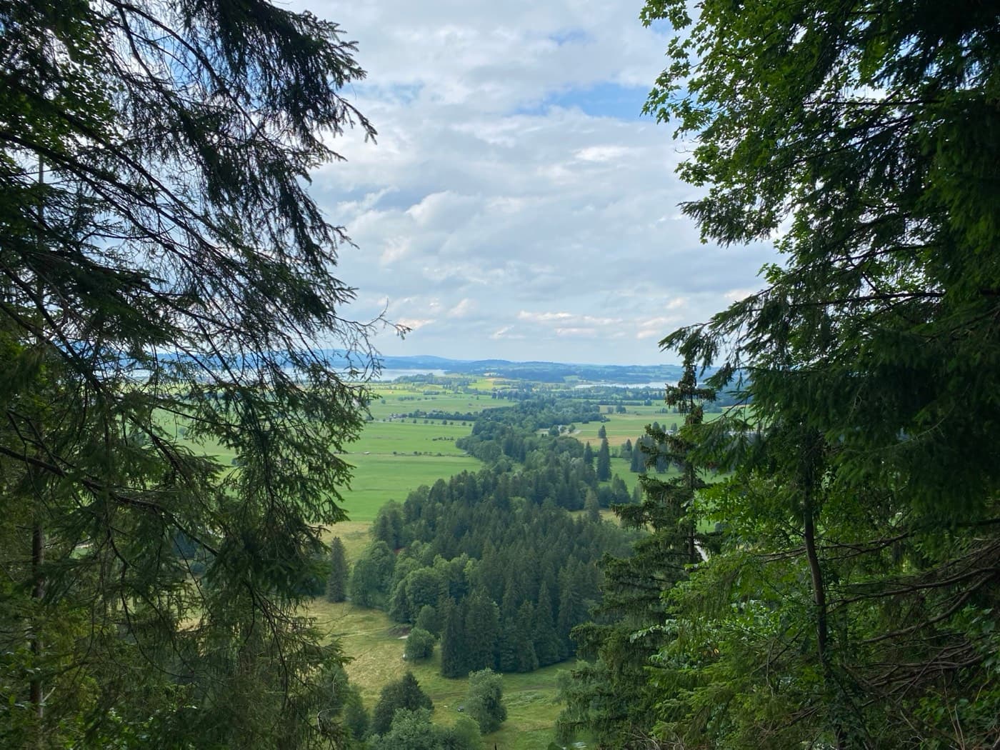 Hiking